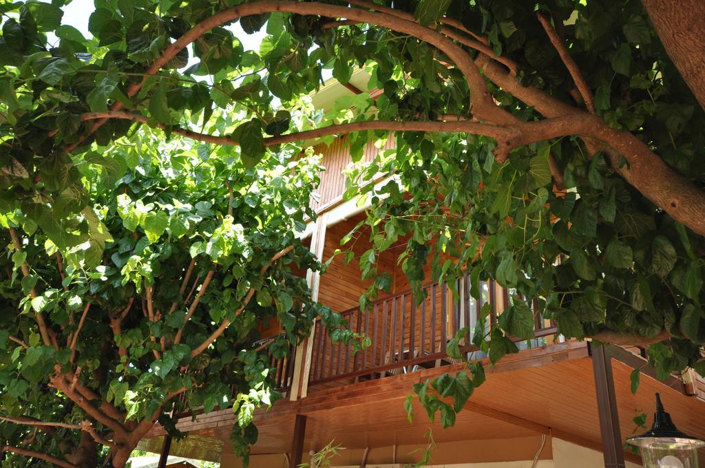 Cesur Pansiyon Hotel Cirali Exterior photo