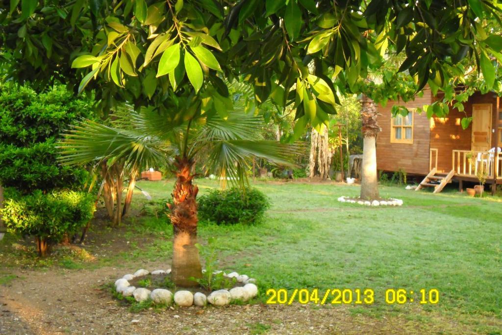Cesur Pansiyon Hotel Cirali Room photo