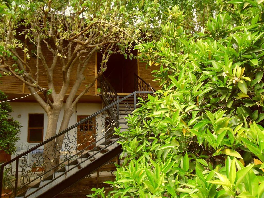 Cesur Pansiyon Hotel Cirali Exterior photo