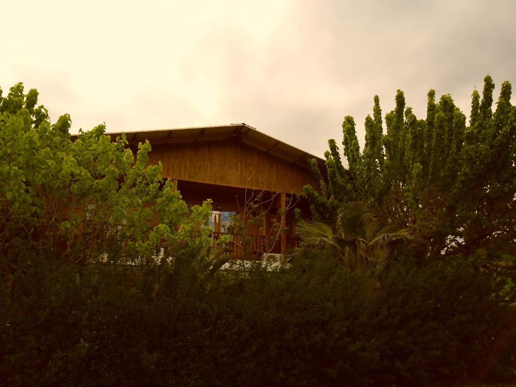 Cesur Pansiyon Hotel Cirali Exterior photo
